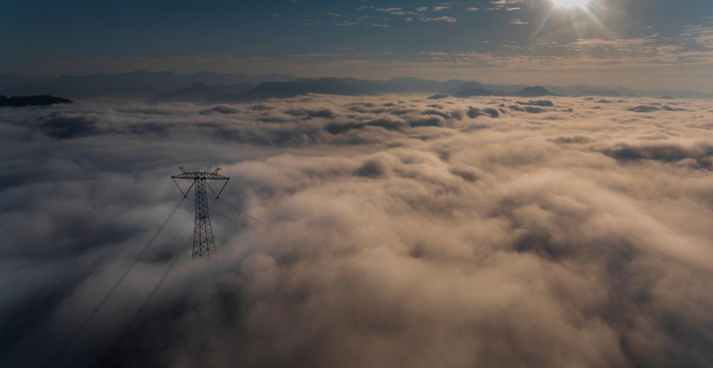 山東誠信國優(yōu)獎項再添輝煌 山東誠信國優(yōu)獎項再添輝煌