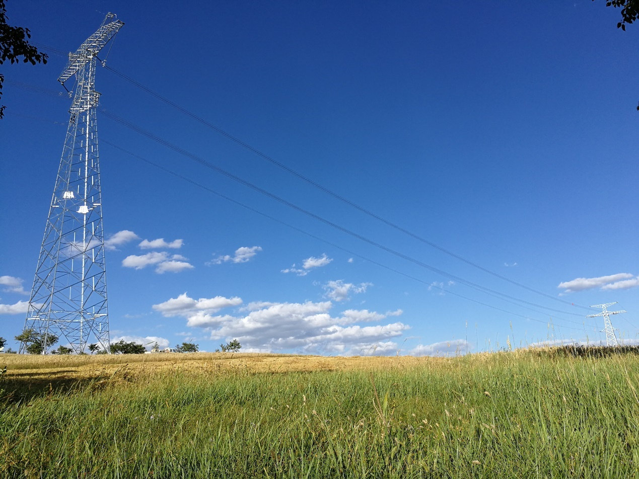 山東誠信國優(yōu)獎項再添輝煌 山東誠信國優(yōu)獎項再添輝煌